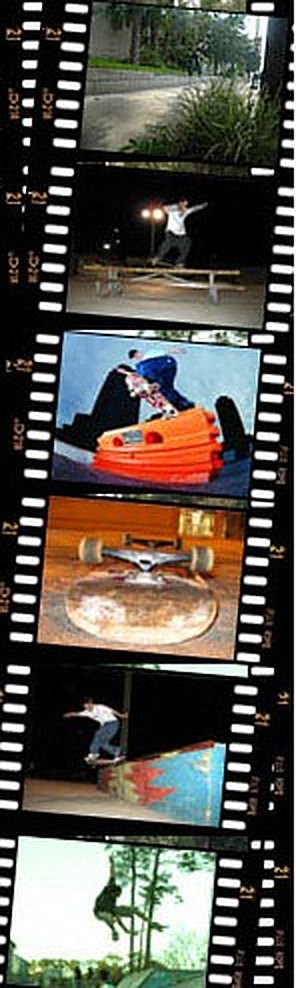 Jacksonville skaters